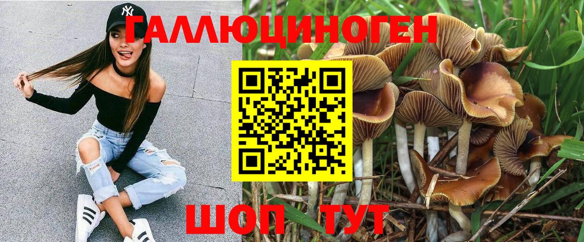 Таганрог  Галлюциногенные грибы мицелий  Вход с VPN 