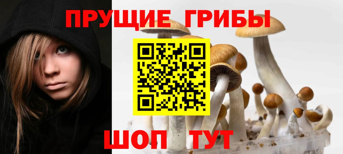Псилоцибиновые грибы Magic Shrooms Таганрог